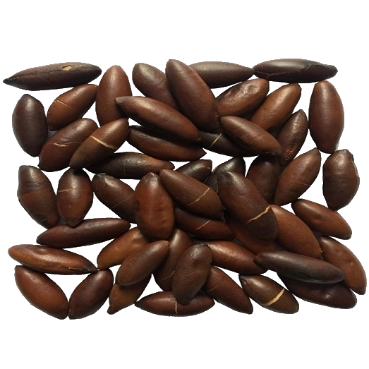 Castanha de Baru - 100g