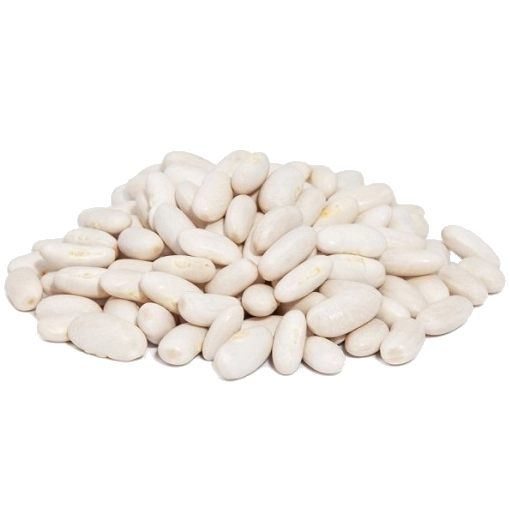 Feijão Branco - 100g