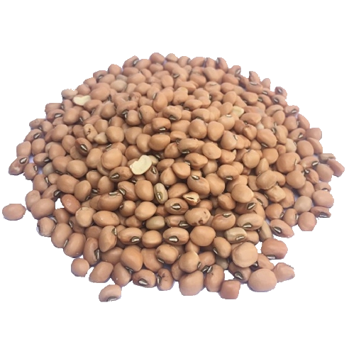 Feijão de Corda - 100g