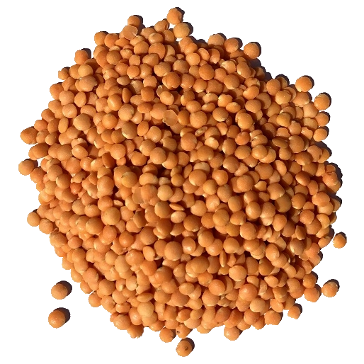 Lentilha Vermelha - 100g