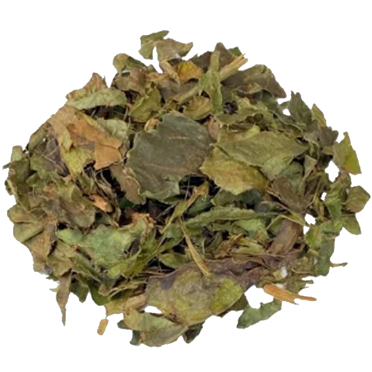 Guaco em Folhas - 100g