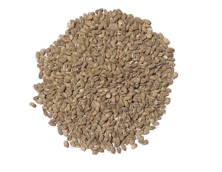 Cevadinha em Grãos - 100g